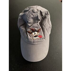 Crash Bandicoot Activision "N. Sane Trilogy" Promotional Hat Cap Gray 2017